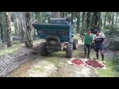 ТРАКТОР ПАЛЬМОВОГО МАСЛА WEA08