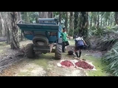 вес 1250kg машины сбора пальмового масла кабины 1325mm открытый со сражается