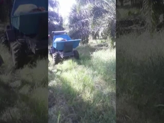 Тип сельскохозяйственной шины Палмовый трактор с дизельным двигателем