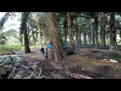 трактор пальмового масла колесной базы 2150mm с емкостью бензобака шины для сельскохозяйственных машин 11L